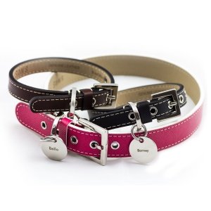 Hundehalsband aus Leder mit Gravuranhäng