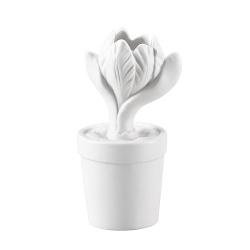 Hutschenreuther 200 Jahre Green Garden D