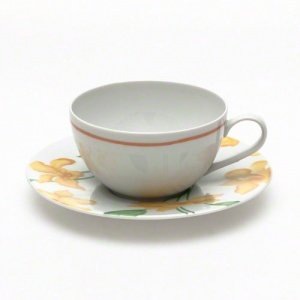 Hutschenreuther Blütenträume orange Café