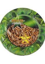 Ich bin ein Star - Holt mich hier raus! 