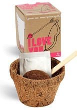 Ich liebe dich Pflanzen-Set bunt