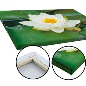 Ihr Foto auf Leinwand