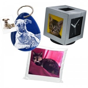 Ihr Tier als Star - Zu den Fotogeschenke