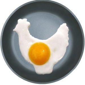 iHuhn - Spiegeleiform