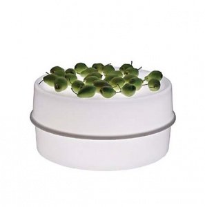 Illumesa Tischleuchte