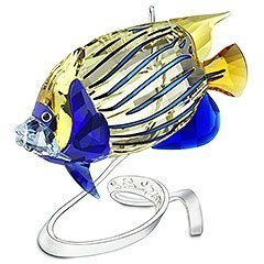 Imperator Kaiserfisch, Jonquil, signiert