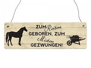 Holzschild ZUM REITEN GEBOREN