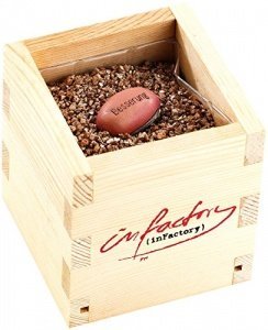 Magic Plant in Holzbox Gute Besserung