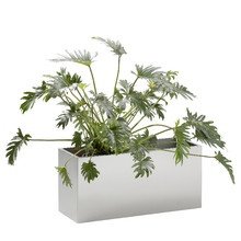 Jan Kurtz - Planter Pflanzkübel, Edelsta