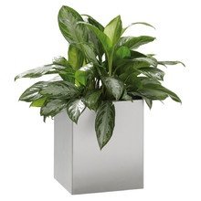 Jan Kurtz - Planter Vase, Edelstahl, 40 