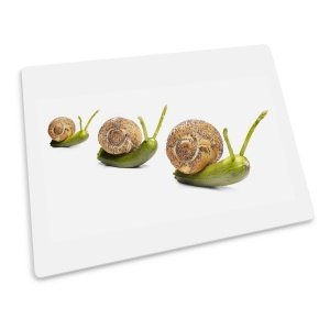 Joseph Joseph Glasplatte SCENES Motiv Sc