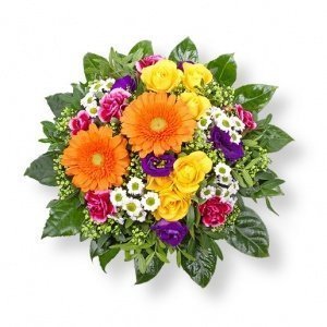 Joy und 10 EUR REWE Geschenkkarte