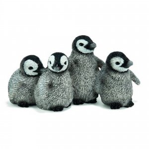 Kaiserpinguin Jungen