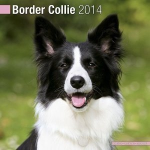 Kalender "Border Collie 2014"