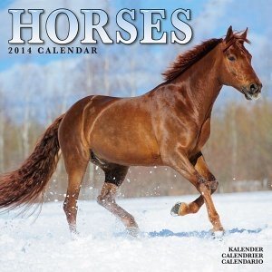 Kalender "Horses 2013"