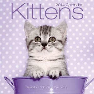 Kalender "Kittens 2014"