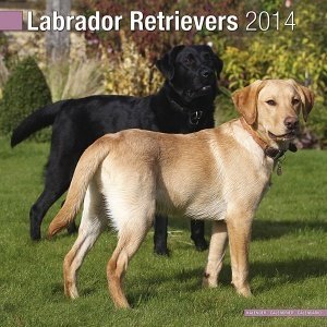 Kalender "Labrador 2014"