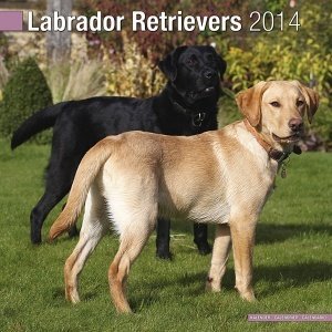 Kalender "Labrador 2014"