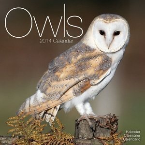 Kalender "Owls 2014"