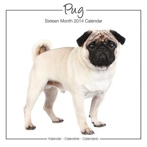 Kalender "Pug 2014, Studio"