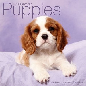 Kalender "Puppies 2014"