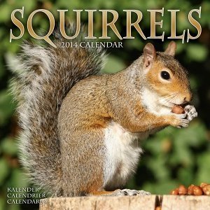 Kalender "Squirrels 2014"
