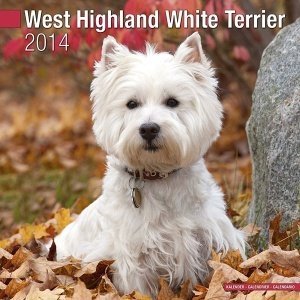 Kalender "West Highland Terrier 2014"