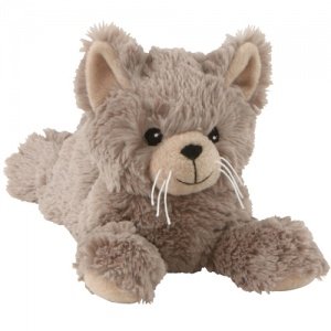 Katze (wohlige Wärme aus der Mikrowelle)