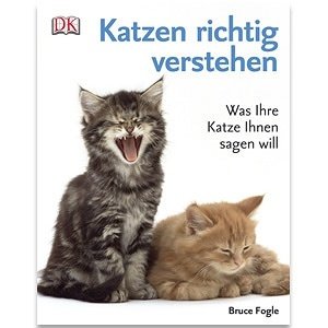 Katzen richtig verstehen