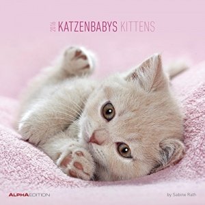 Katzenbabys Kalender