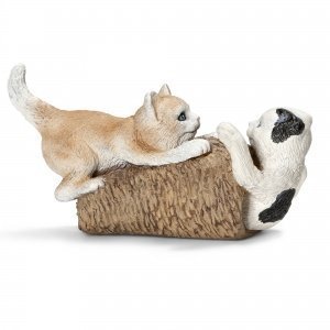 Katzenjungen, spielend