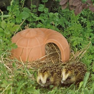 Keramik-Igelschnecke