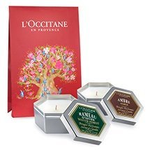 Kerzen-Duo: Amber und Winterzweig