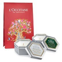 Kerzen-Duo: Weise Bluten und Winterzweig