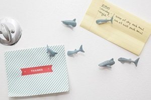 Kikkerland Set von 6 Shark Butt Kühlschrank Magnete