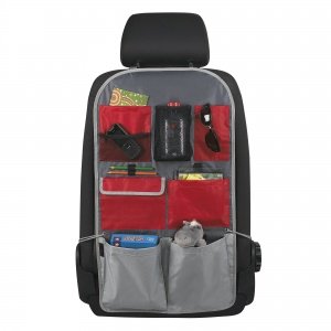 Kinder Organ. Sunny rot/blau