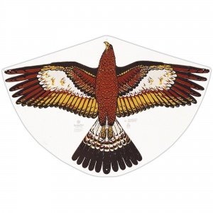 Kinderdrachen "Goldadler"