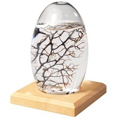 Kirschbaum Plattenständer für kleines Ec