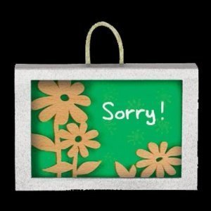 * KLEINE NACHRICHT Matchbox-Botschaft SO