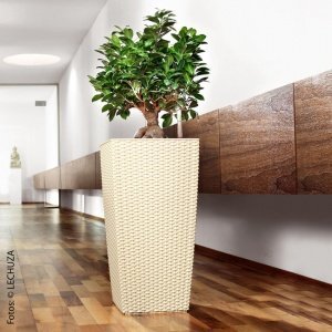 Kl. Pflanztopf Cubico Cottage, elfenbein