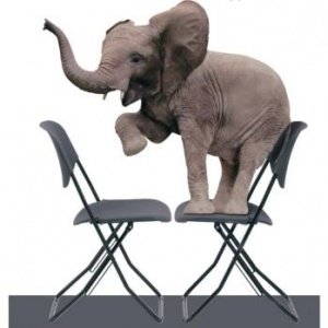 Klappstuhl Campus 2401 von Stechert