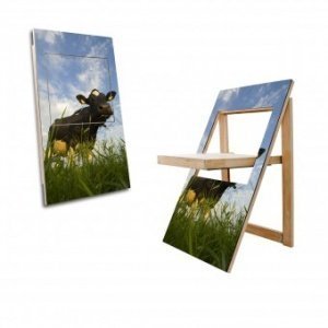 Klappstuhl PicChair
