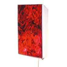 Klein & More Copylight - Edition Copy - 