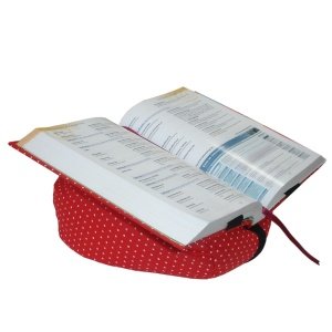 Klein und More LESELOTTE Lesehilfe rot g