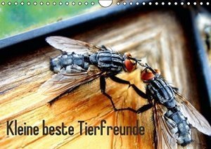 Kleine beste Tierfreunde Wandkalender 