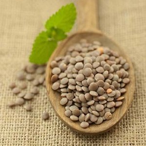 Kleine grüne Linsen Lenticchie Mignon