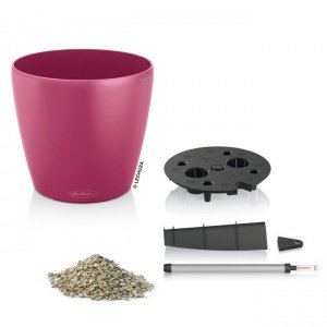 Kleines Pflanzgefäß Classico Colour fuch