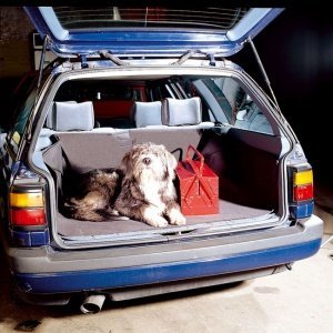 Kofferraum-Hundedecke (Abb. 2)