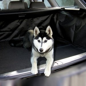 Kofferraum-Hundedecke