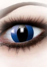 Kontaktlinsen Katze schwarz-blau